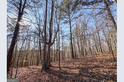 0 W Union Hill Road, Winston, GA 30187 - Photo 41