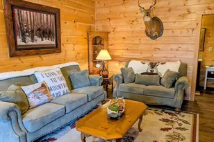 740 Highland Gap, Mineral Bluff, GA 30559 - Photo 53