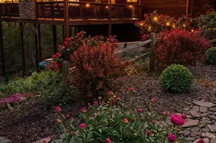 740 Highland Gap, Mineral Bluff, GA 30559 - Photo 71