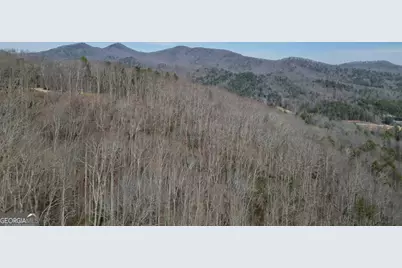 Lot 19A Stephens Road, Blairsville, GA 30512 - Photo 19