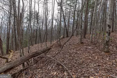 Lot 19A Stephens Road, Blairsville, GA 30512 - Photo 17