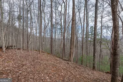 Lot 19A Stephens Road, Blairsville, GA 30512 - Photo 15