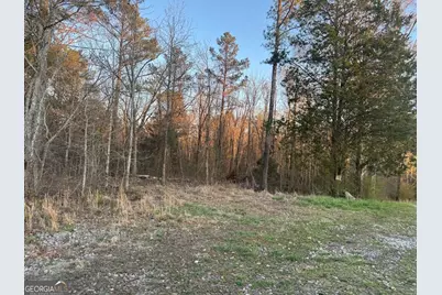 0 Clem Lowell Road, Carrollton, GA 30116 - Photo 5