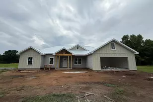 997 NE Darwell Long Rd, Ludowici, GA 31316 - Photo 1
