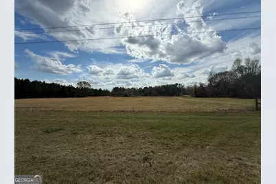 997 NE Darwell Long Road, Ludowici, GA 31316 - Photo 3