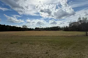 997 NE Darwell Long Rd, Ludowici, GA 31316 - Photo 3