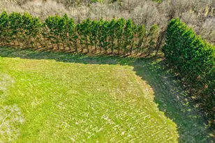1800 Simonton Bridge Rd, Watkinsville, GA 30677 - Photo 65