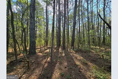 1496 Hardigree Road, Winder, GA 30680 - Photo 11