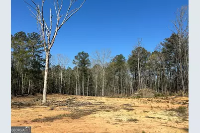 1251 Adams Road, Union Point, GA 30669 - Photo 13