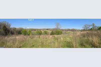 0 Wh Hayes Road, Winder, GA 30680 - Photo 9