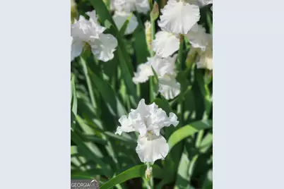 180 Sycamore Bend, Fayetteville, GA 30214 - Photo 29