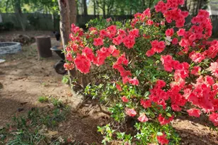 180 Sycamore Bend, Fayetteville, GA 30214 - Photo 29