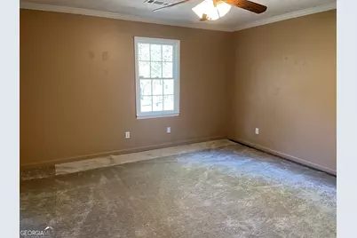 233 George Coggin Road, Newnan, GA 30265 - Photo 17