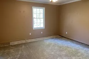 233 George Coggin Rd, Newnan, GA 30265 - Photo 17