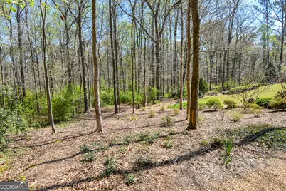 397 Oak Grove Path, Griffin, GA 30224 - Photo 83