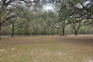 583 Mill Pond Rd, Rincon, GA 31326 - Photo 3