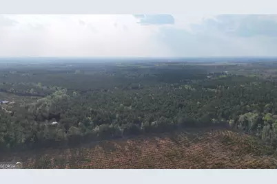 0 Pollett Road #LOT 23, Bartow, GA 30413 - Photo 13