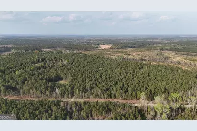 0 Pollett Road #LOT 23, Bartow, GA 30413 - Photo 5