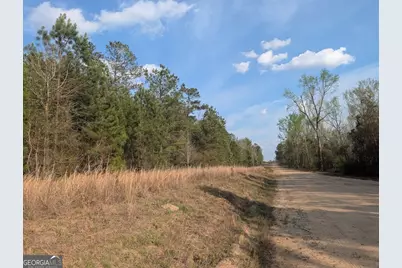 0 Pollett Road #LOT 23, Bartow, GA 30413 - Photo 25