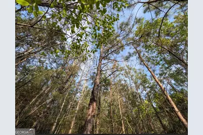 0 Pollett Road #LOT 23, Bartow, GA 30413 - Photo 27