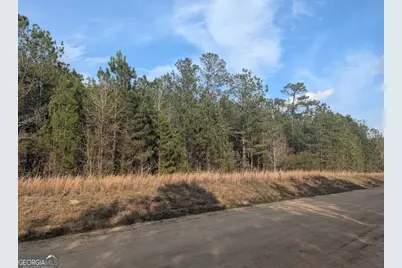 0 Pollett Road #LOT 23, Bartow, GA 30413 - Photo 29