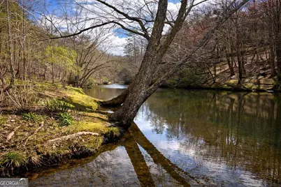 105 Riveredge Drive #23, Ellijay, GA 30536 - Photo 5