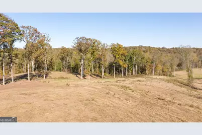 167 McCoy Bridge Road, Homer, GA 30547 - Photo 59