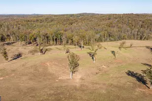 167 McCoy Bridge Rd, Homer, GA 30547 - Photo 71