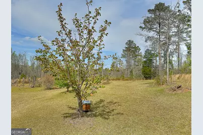 4642 New Franklin Road, Hogansville, GA 30230 - Photo 53