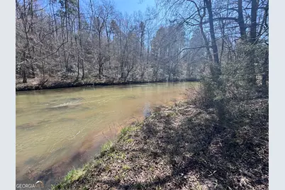 0 River Ridge, Carnesville, GA 30521 - Photo 15