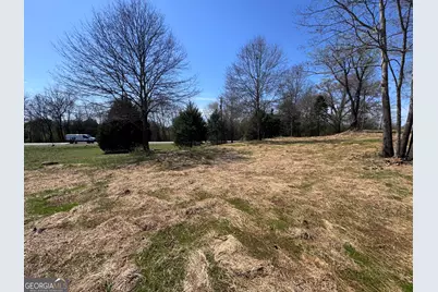 0 River Ridge, Carnesville, GA 30521 - Photo 7