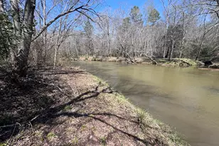 0 River Ridge, Carnesville, GA 30521 - Photo 1