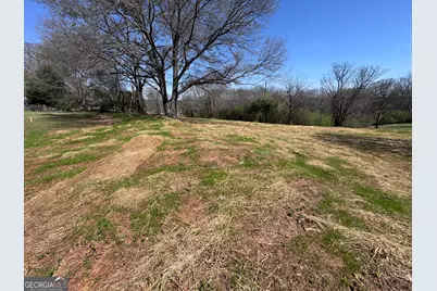 0 River Ridge, Carnesville, GA 30521 - Photo 9