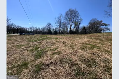 0 River Ridge, Carnesville, GA 30521 - Photo 13