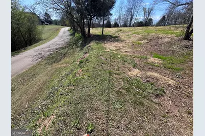 0 River Ridge, Carnesville, GA 30521 - Photo 11