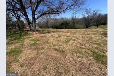 0 River Ridge, Carnesville, GA 30521 - Photo 19
