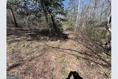 0 River Ridge, Carnesville, GA 30521 - Photo 25