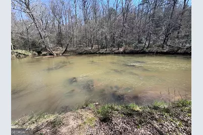 0 River Ridge, Carnesville, GA 30521 - Photo 3