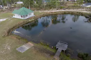 84 Satilla Church Rd, Baxley, GA 31513 - Photo 5