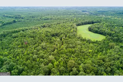 0 Butts Mill Road, Pine Mountain, GA 31822 - Photo 3