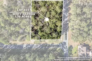 V/L 22 Misty Harbor S/D P4, Woodbine, GA 31569 - Photo 1