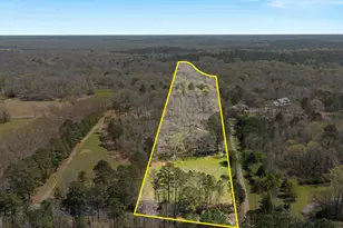 2331 Hollonville Rd, Brooks, GA 30205 - Photo 1