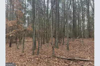0 Gregg Shoals Drive, Elberton, GA 30635 - Photo 11