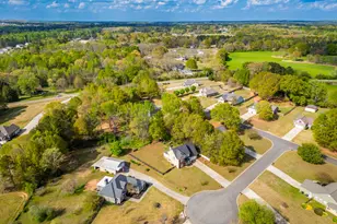 303 McKendree Ct, Bethlehem, GA 30620 - Photo 5