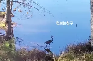 405 Lakeview Way, Lagrange, GA 30241 - Photo 43