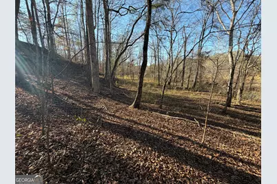 0 Hwy 36 #LOT 5, Woodland, GA 31836 - Photo 9