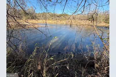 0 Hwy 36 #LOT 5, Woodland, GA 31836 - Photo 5