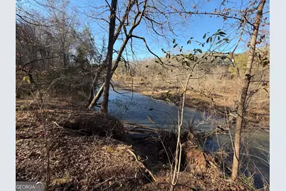 0 Hwy 36 #LOT 5, Woodland, GA 31836 - Photo 15