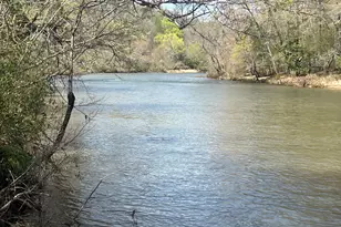 0 Hwy 36, Woodland, GA 31836 - Photo 1