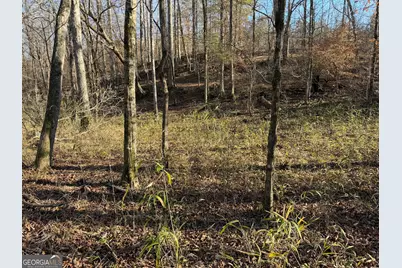 0 Hwy 36 #LOT 5, Woodland, GA 31836 - Photo 13